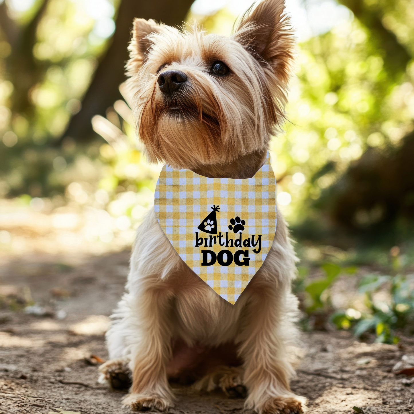 Birthday Dog Bandana on Checkered Gingham