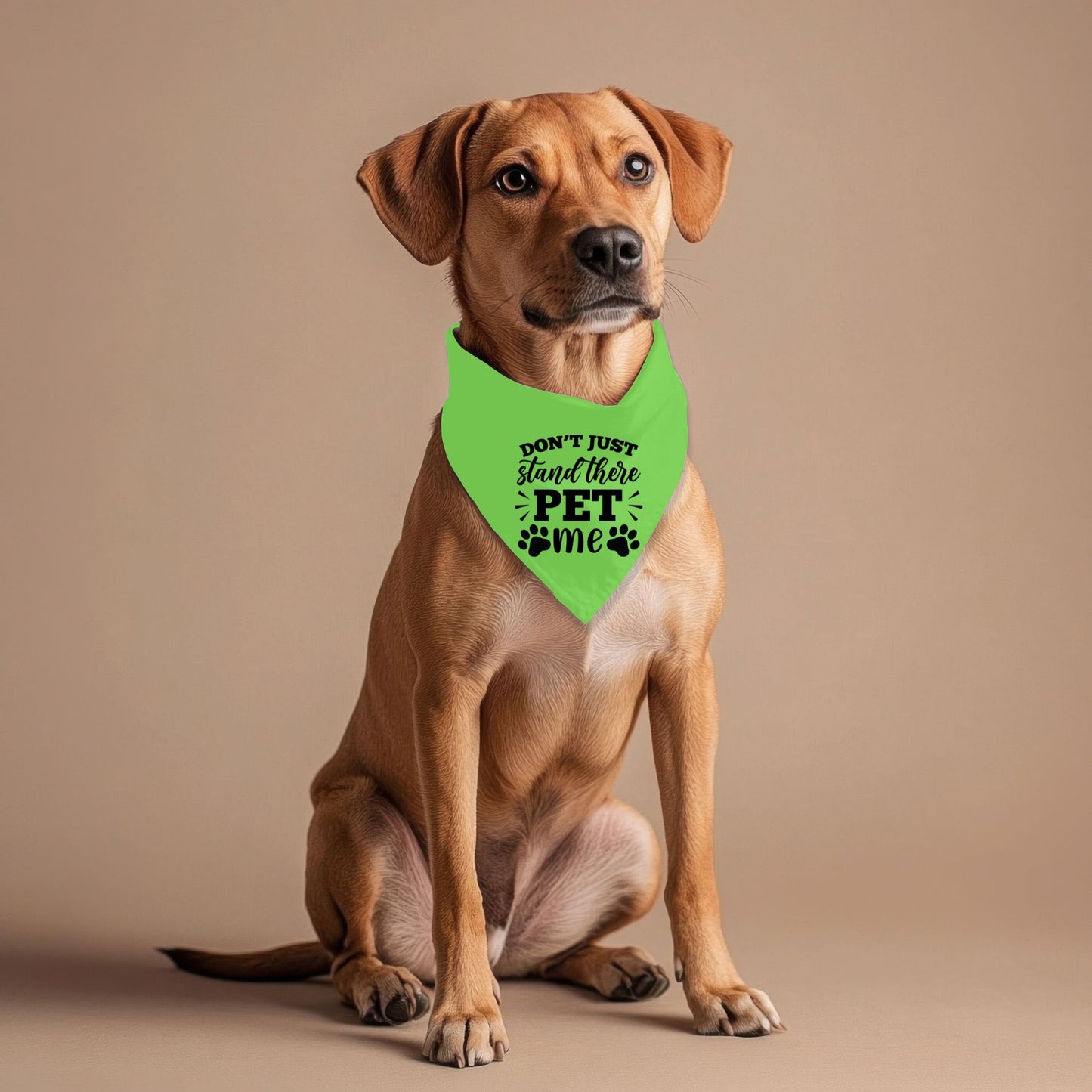 Don't Just Stand There Pet Bandana