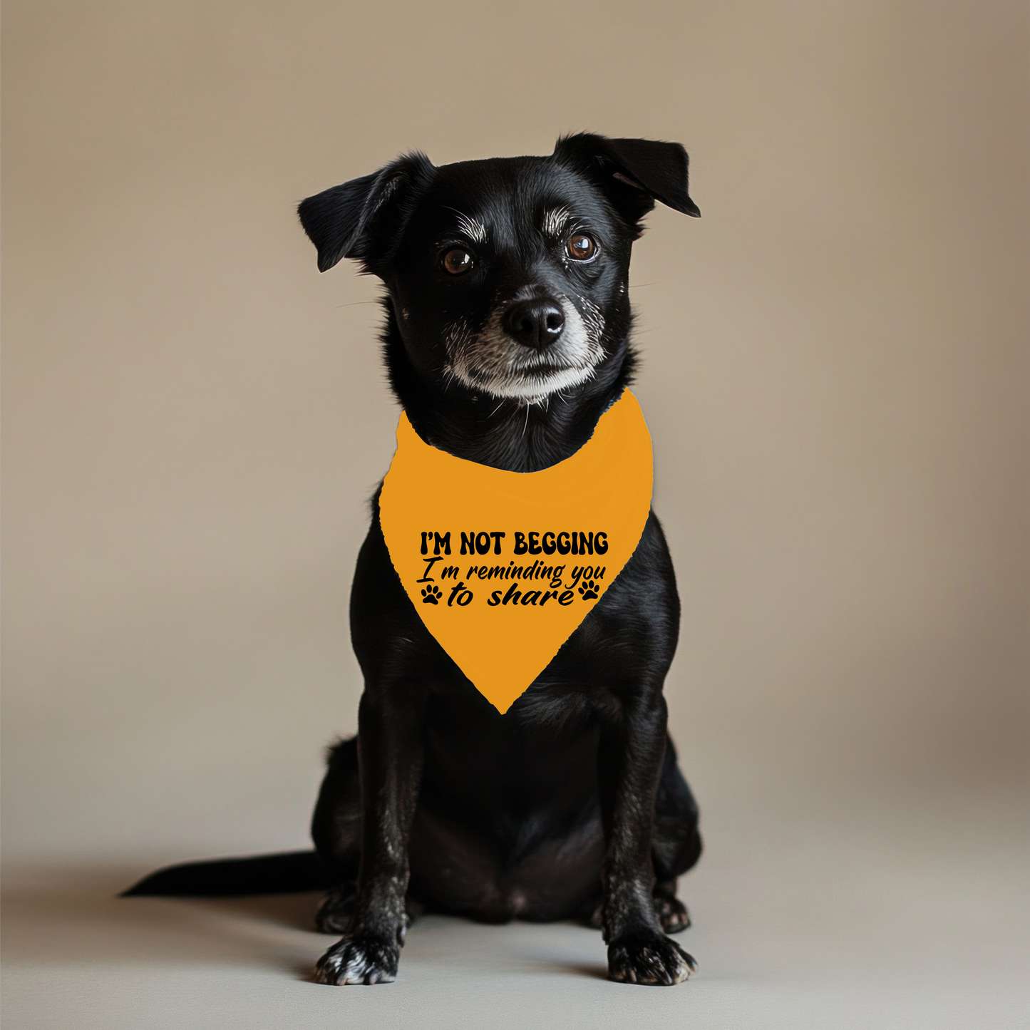 I'm Not Begging Pet Bandana