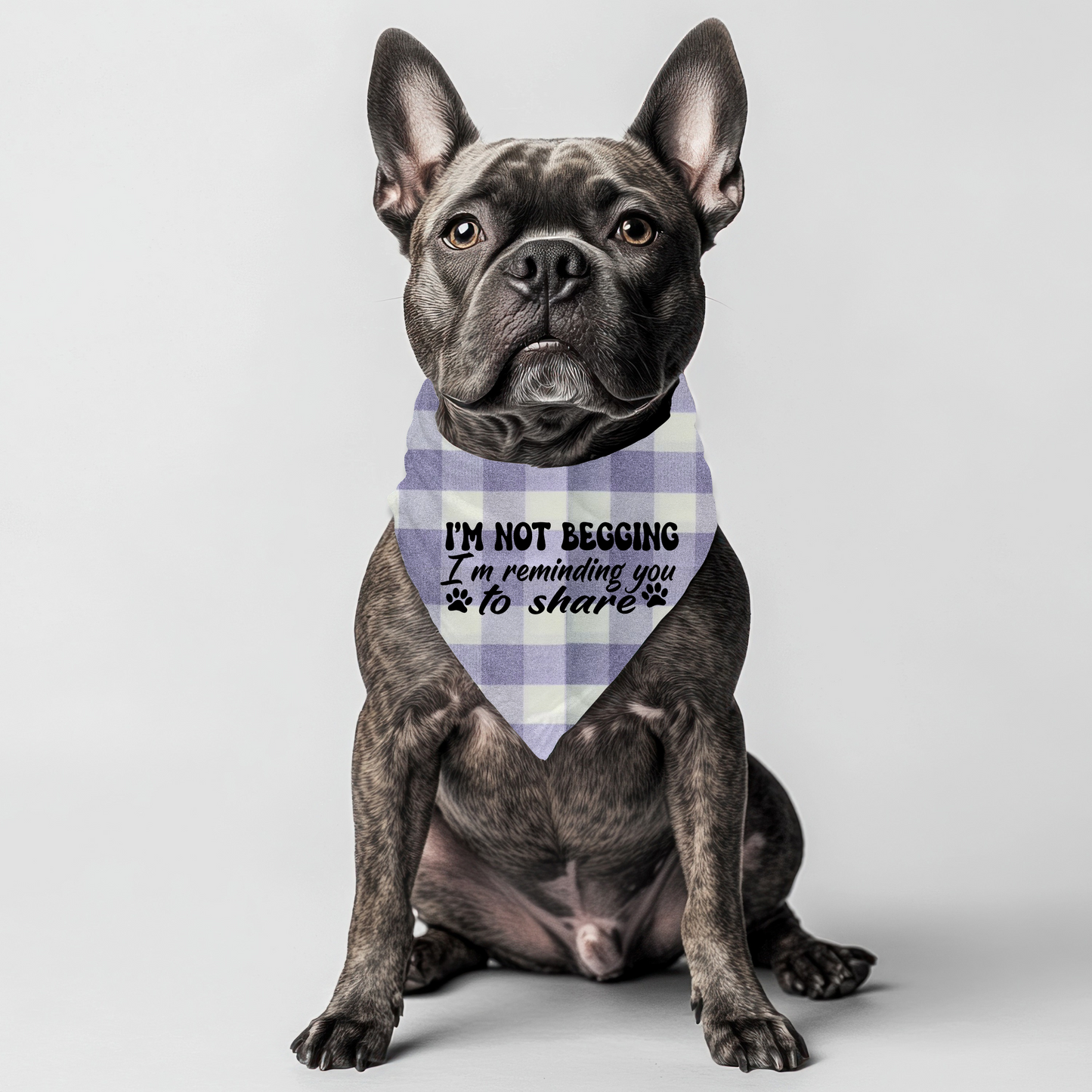 "I'm not Begging" Pet Bandana on Plaid