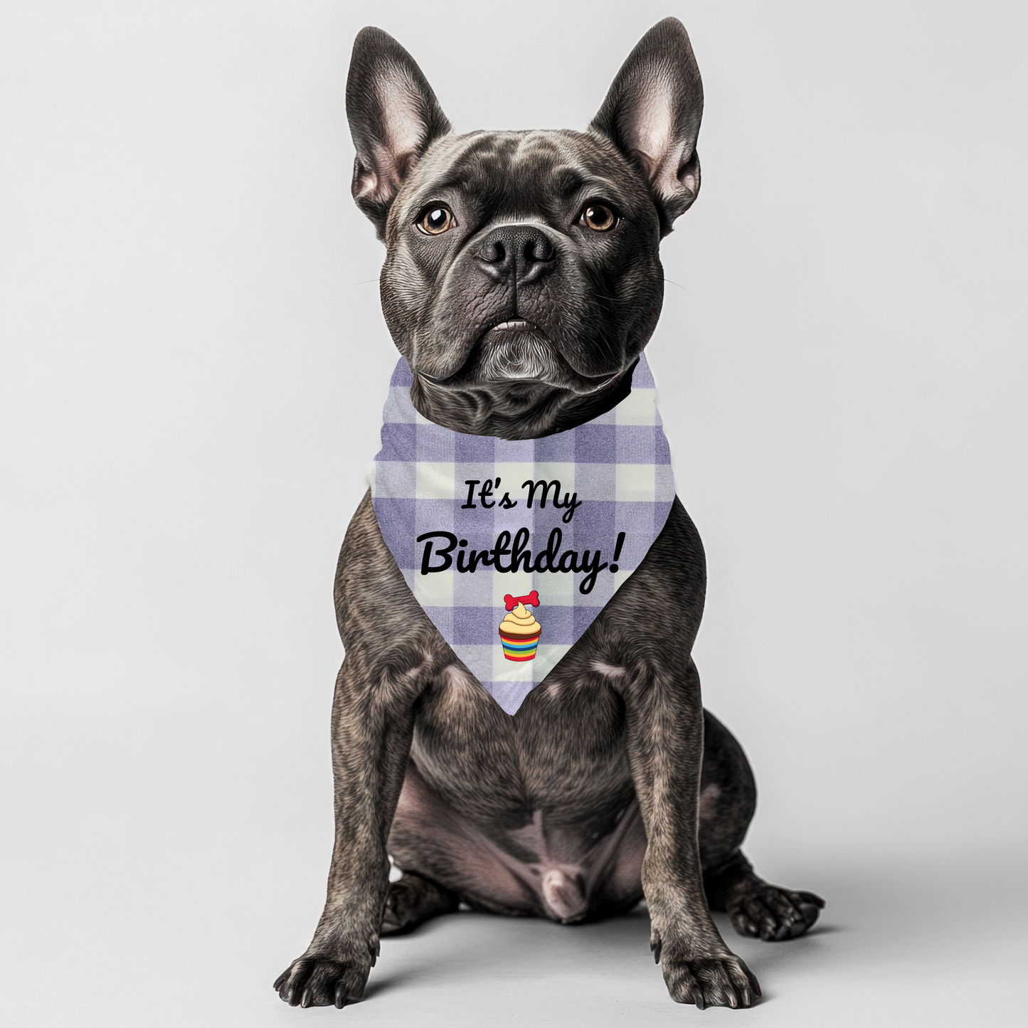 It's my Birthday Pet Bandana on Checkered Gingham