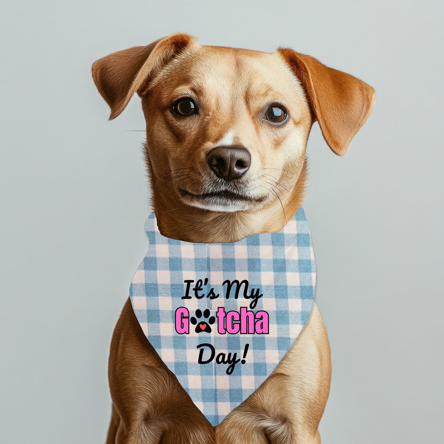 It's my Gotcha Day (Pink) Bandana on checkered gingham