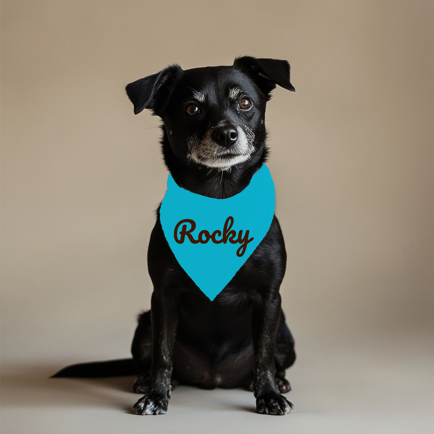 Custom Dog Bandana