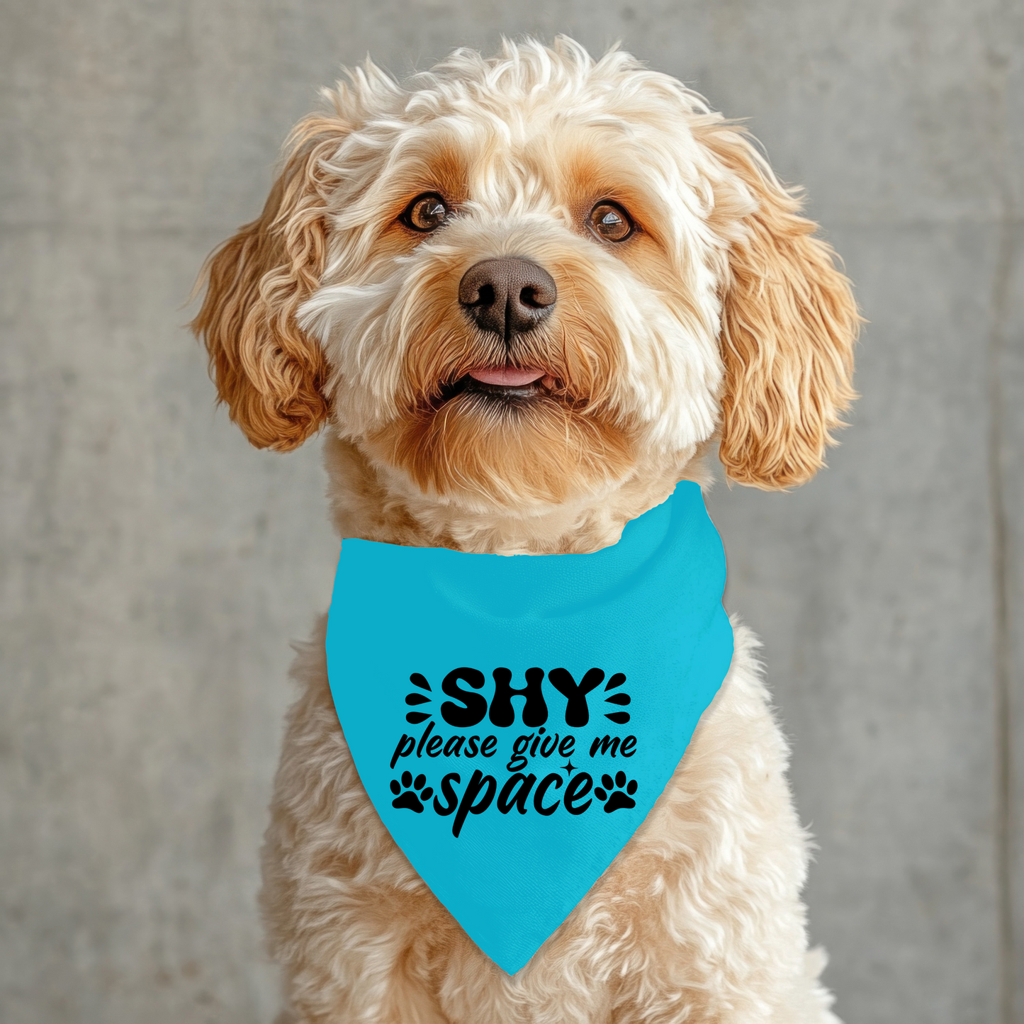 Shy Pet Bandana