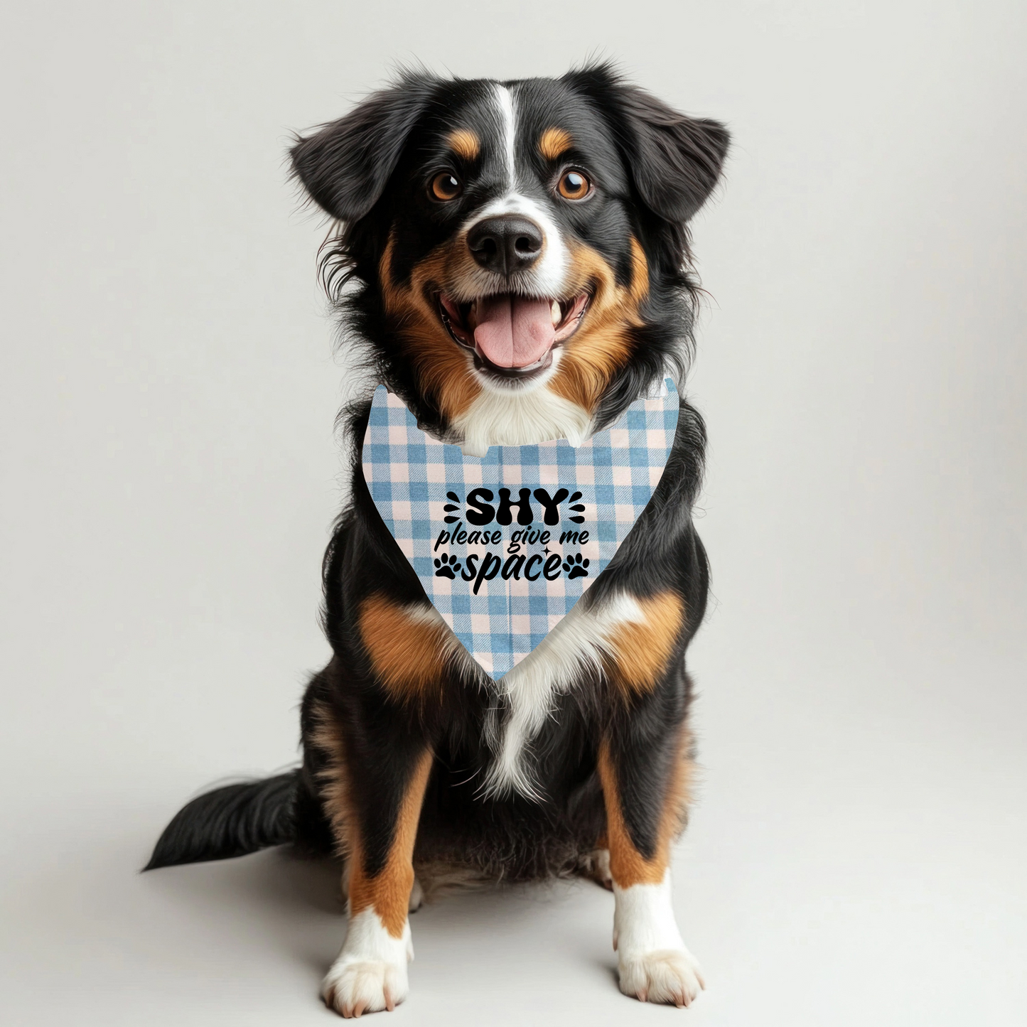 Shy Pet Bandana on Plaid