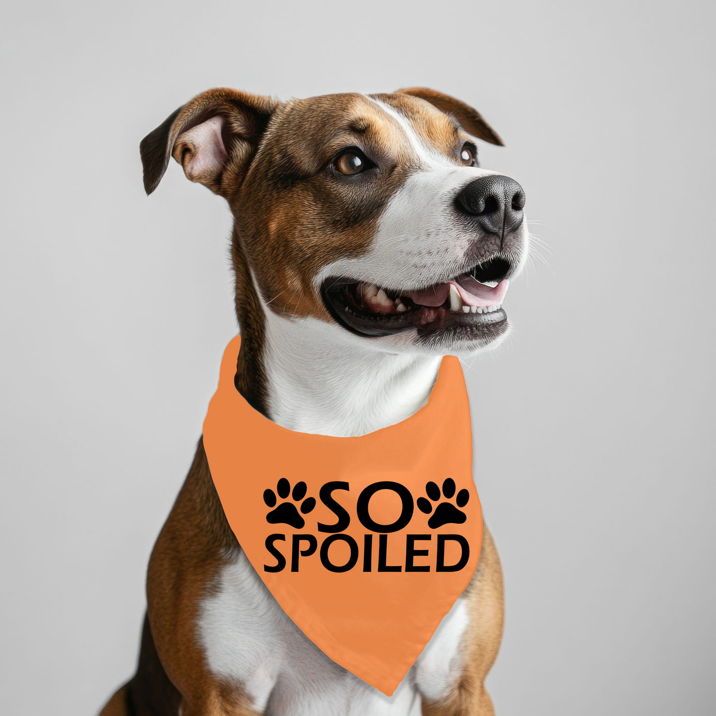 So Spoiled Pet Bandana