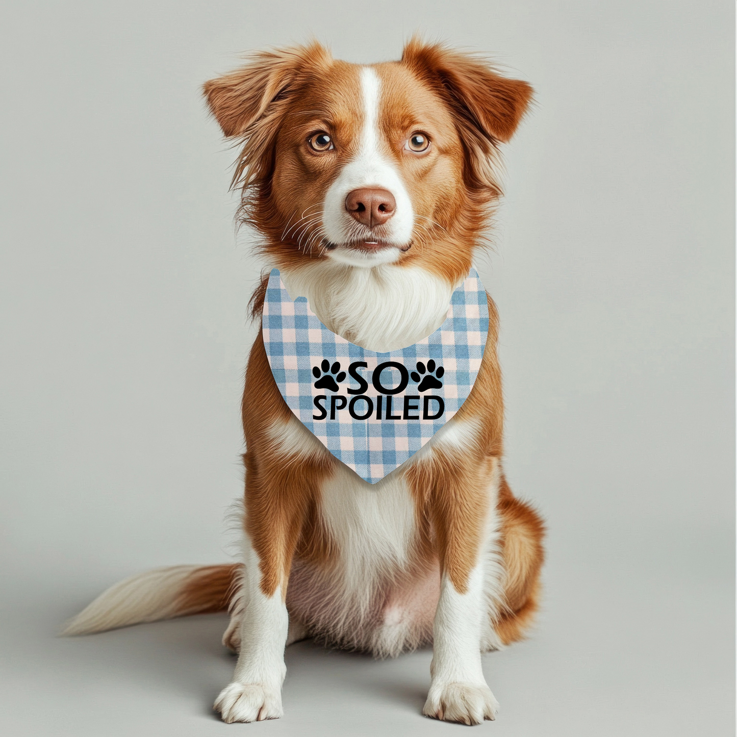 So Spoiled Pet Bandana on Plaid