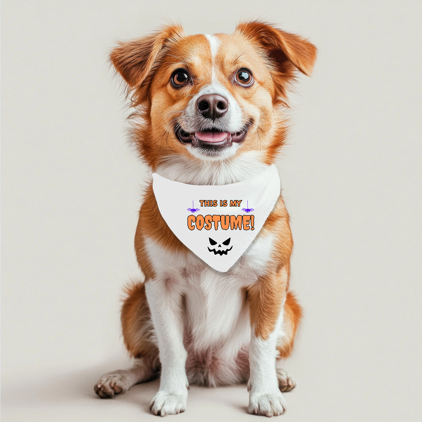 This is my costume Pet Bandana