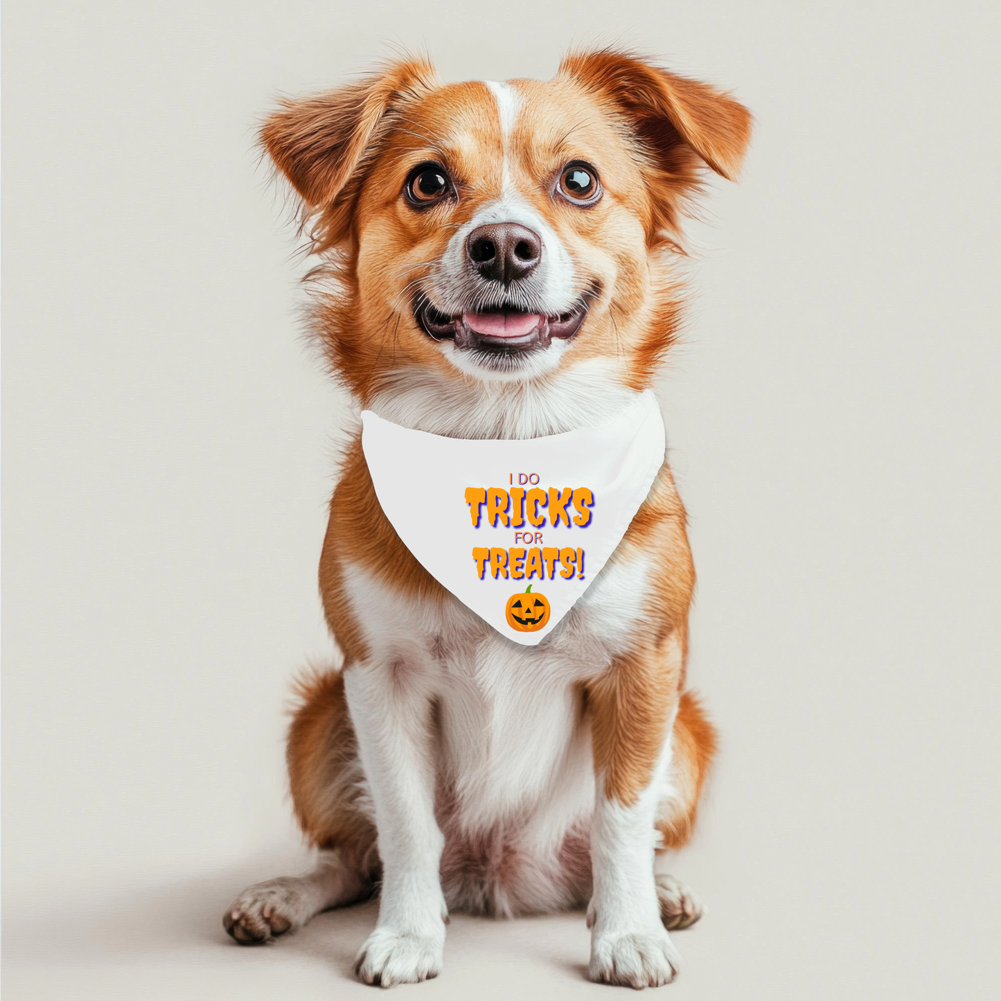 Trick or Treat Pet Bandana