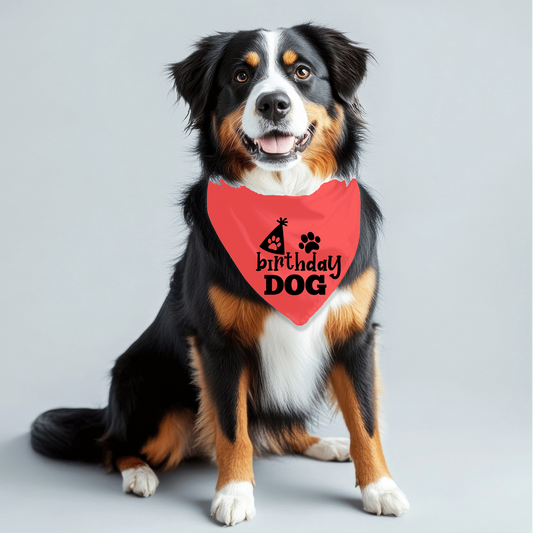 Birthday Dog Bandana
