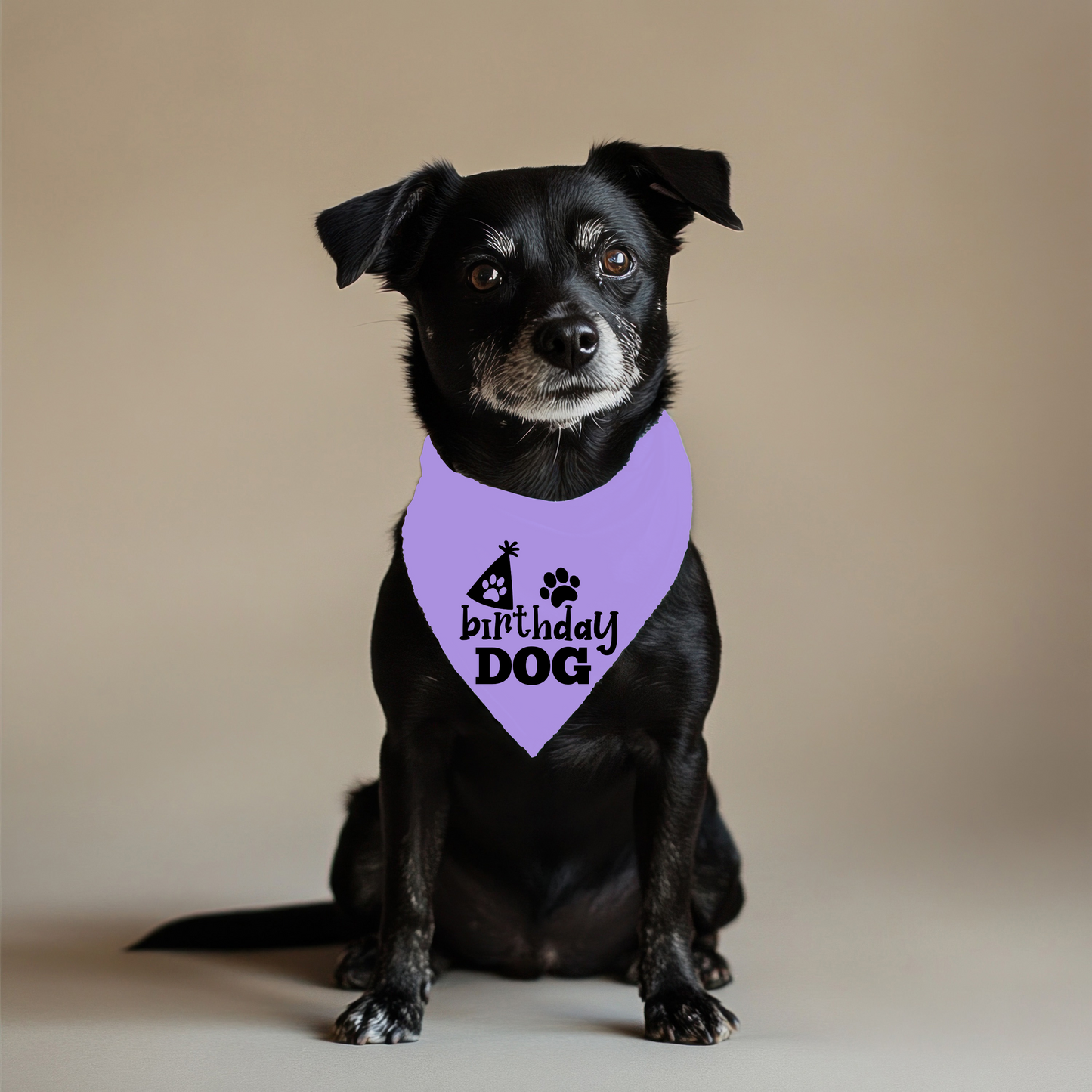 Birthday Dog Bandana