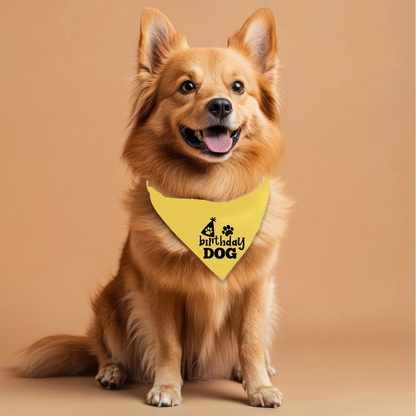 Birthday Dog Bandana