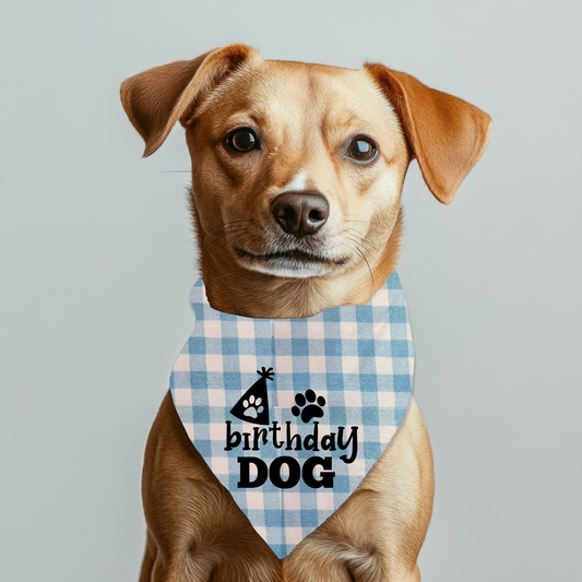 Birthday Dog Bandana on Checkered Gingham