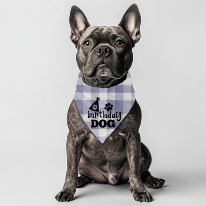 Birthday Dog Bandana on Checkered Gingham