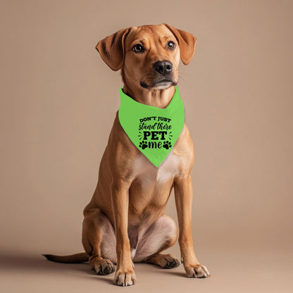 Don't Just Stand There Pet Bandana