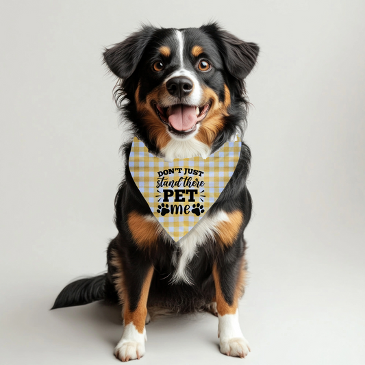 Don't Just Stand There Pet Bandana on Plaid