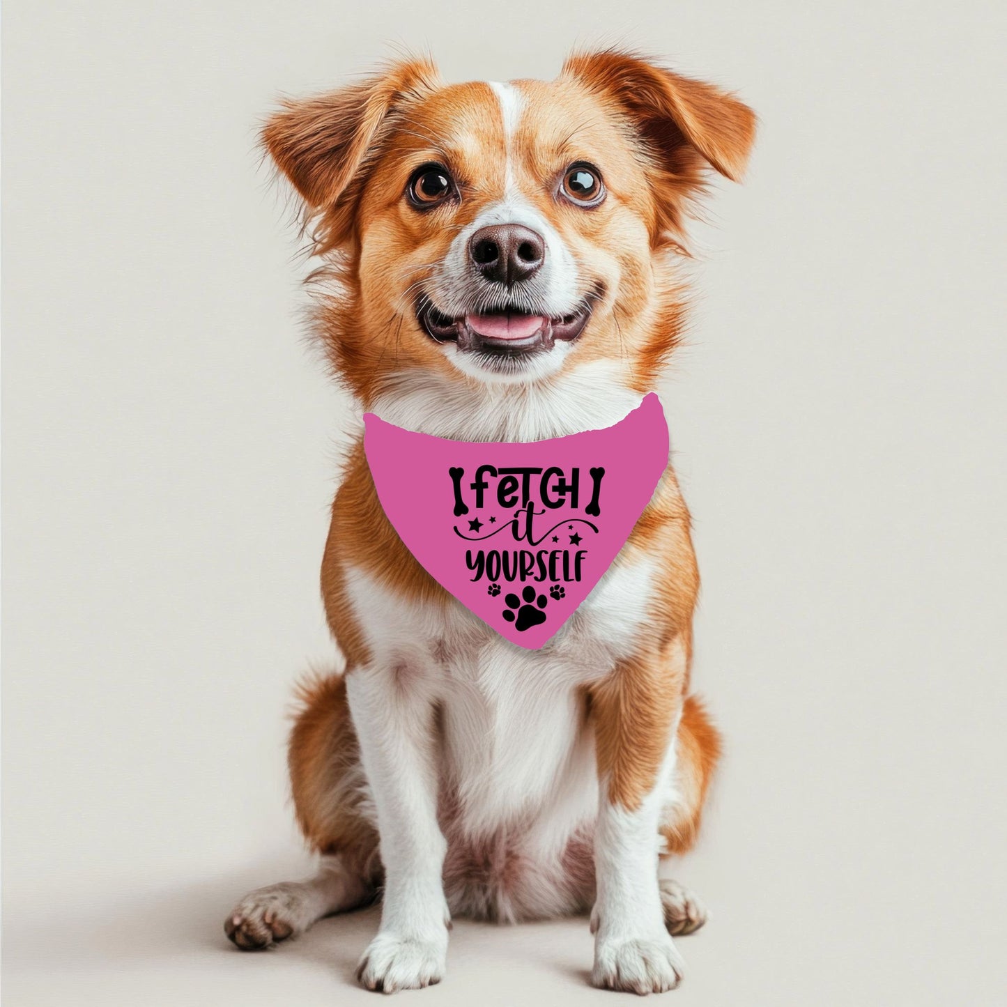 Fetch It Yourself Dog Bandana
