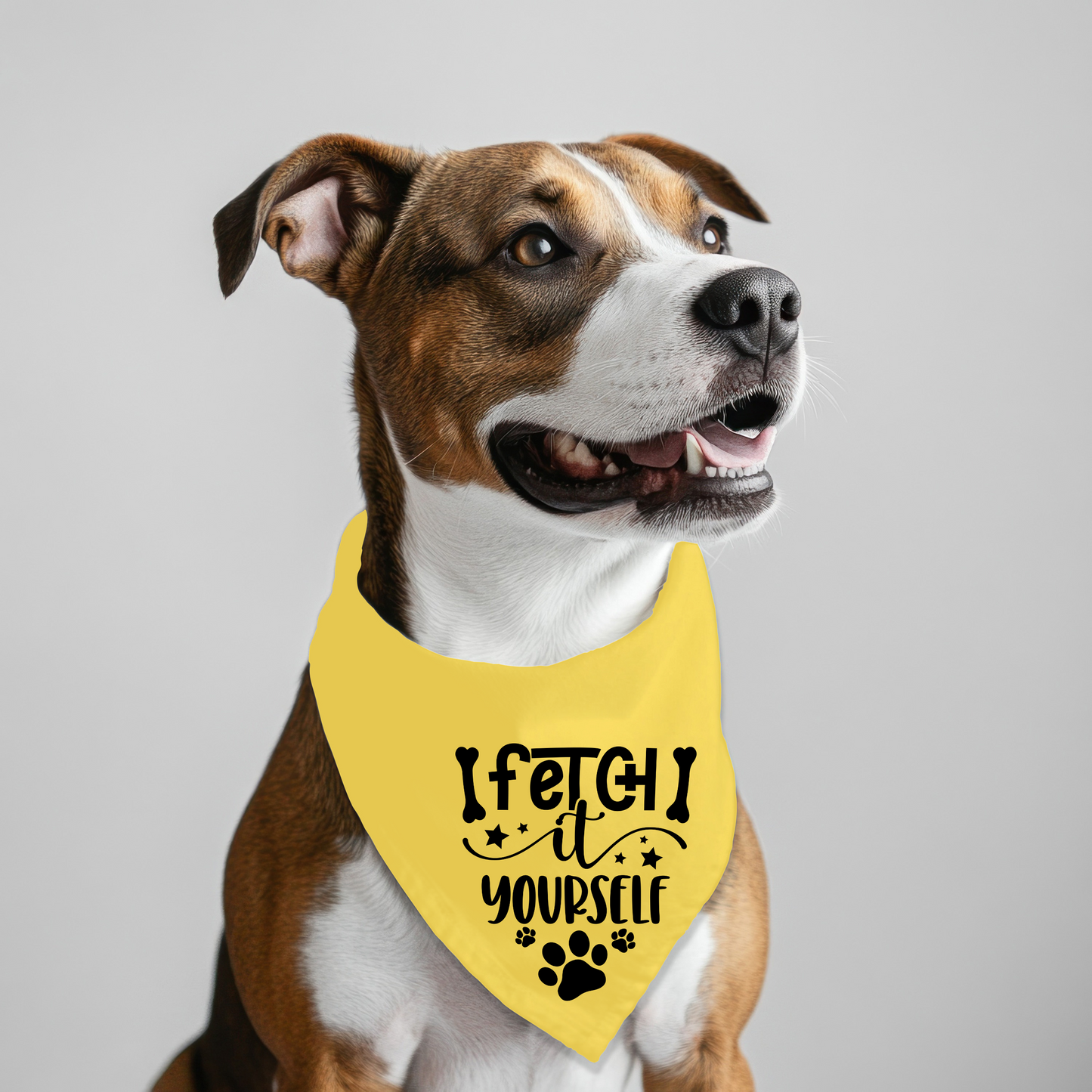 Fetch It Yourself Dog Bandana