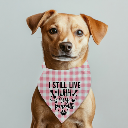 I Still live with my parents pet bandana on plaid