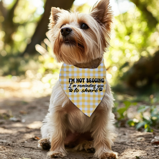 "I'm not Begging" Pet Bandana on Plaid