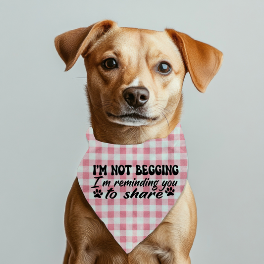 "I'm not Begging" Pet Bandana on Plaid