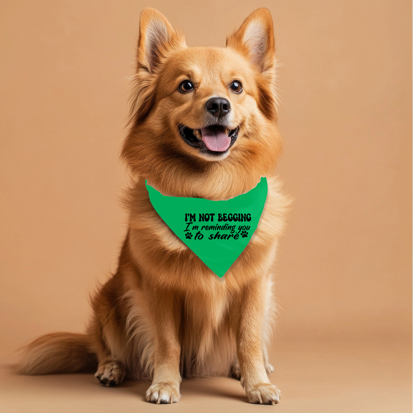 I'm Not Begging Pet Bandana
