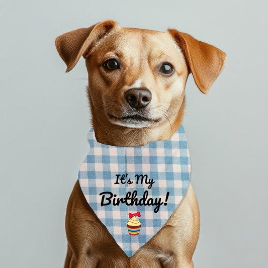 It's my Birthday Pet Bandana on Checkered Gingham