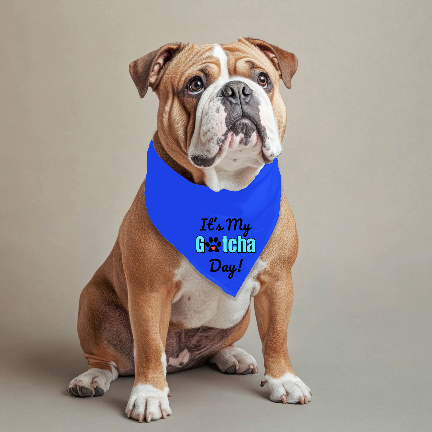 It's my Gotcha Day (Blue) Bandana