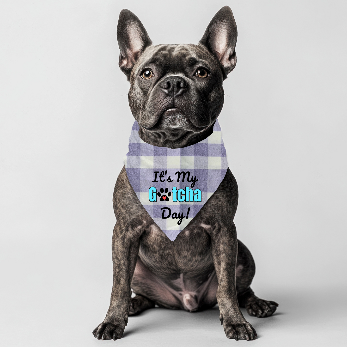 It's my Gotcha Day (Blue) Bandana on checkered gingham