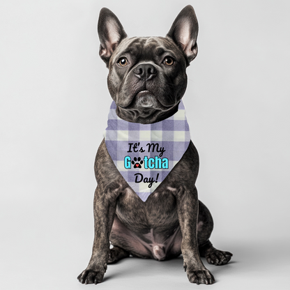 It's my Gotcha Day (Blue) Bandana on checkered gingham