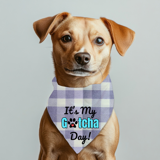 It's my Gotcha Day (Blue) Bandana on checkered gingham