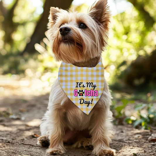 It's my Gotcha Day (Pink) Bandana on checkered gingham