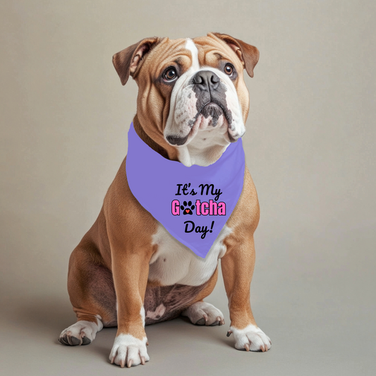 It's my Gotcha Day (Pink) Bandana