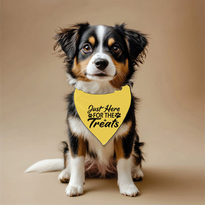 Just Here for Treats Pet Bandana