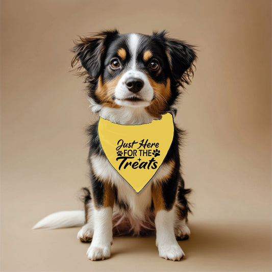 Just Here for Treats Pet Bandana