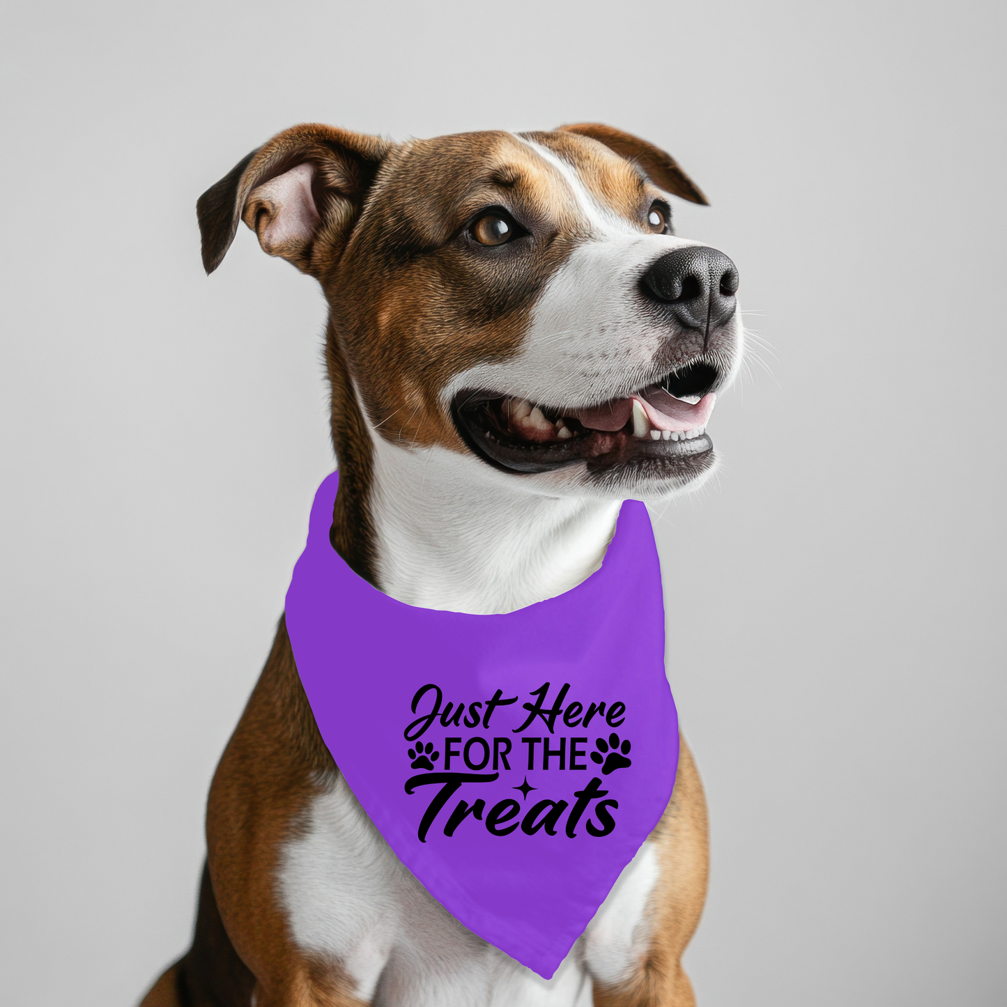 Just Here for Treats Pet Bandana