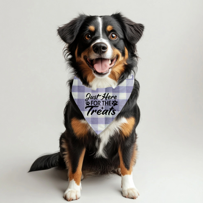 Just Here for Treats Pet Bandana on Plaid