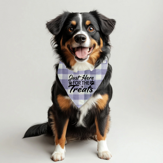 Just Here for Treats Pet Bandana on Plaid