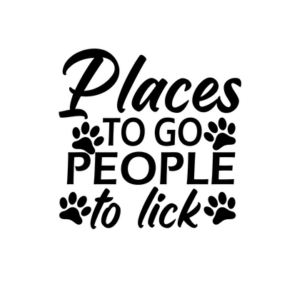 Places to Go Pet Bandana on Plaid