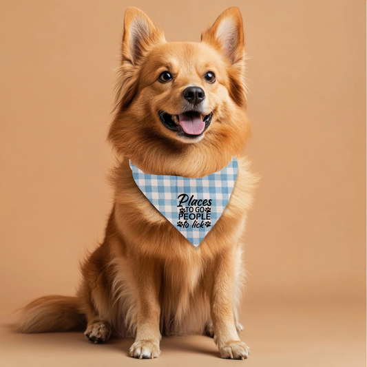 Places to Go Pet Bandana on Plaid