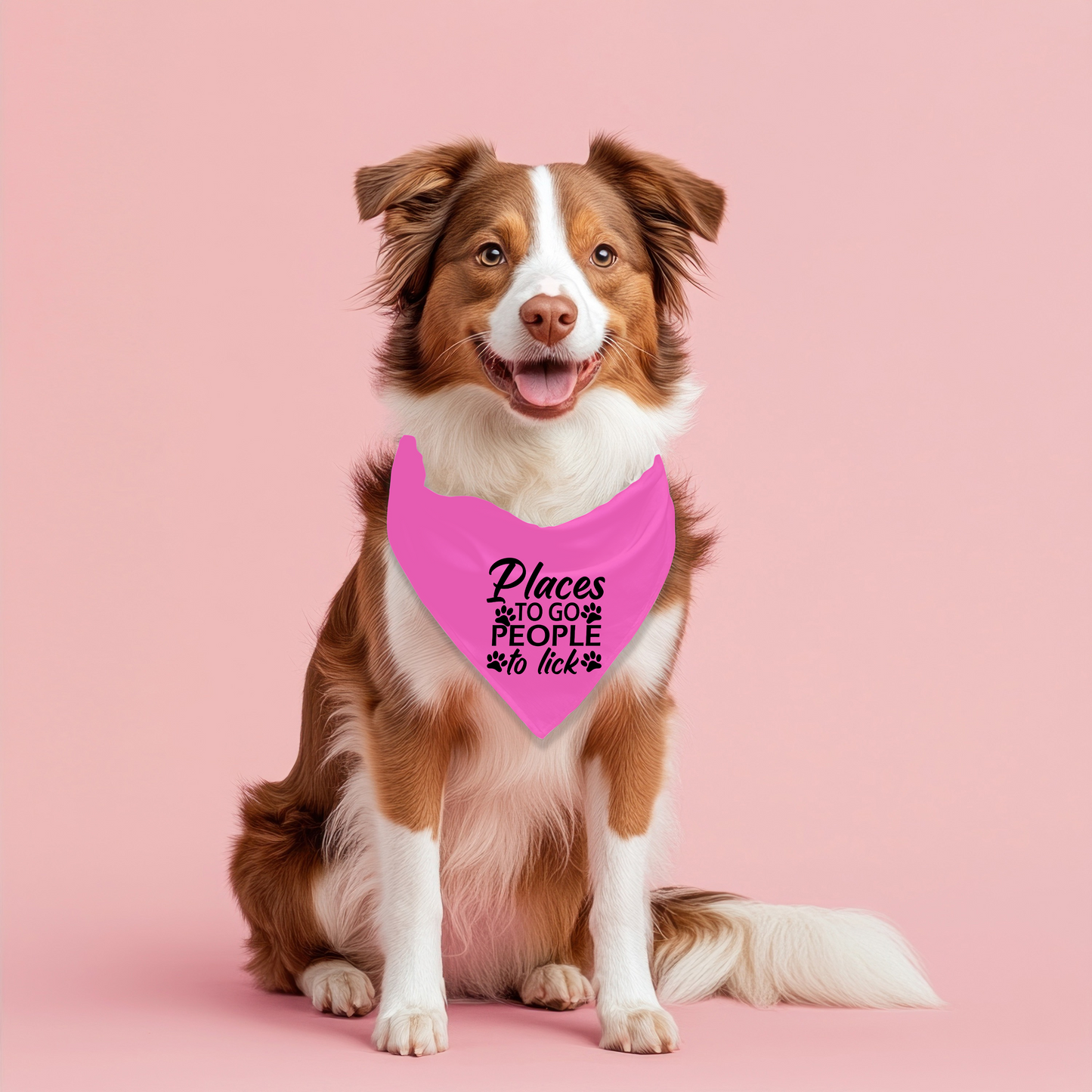 Places to go Pet Bandana