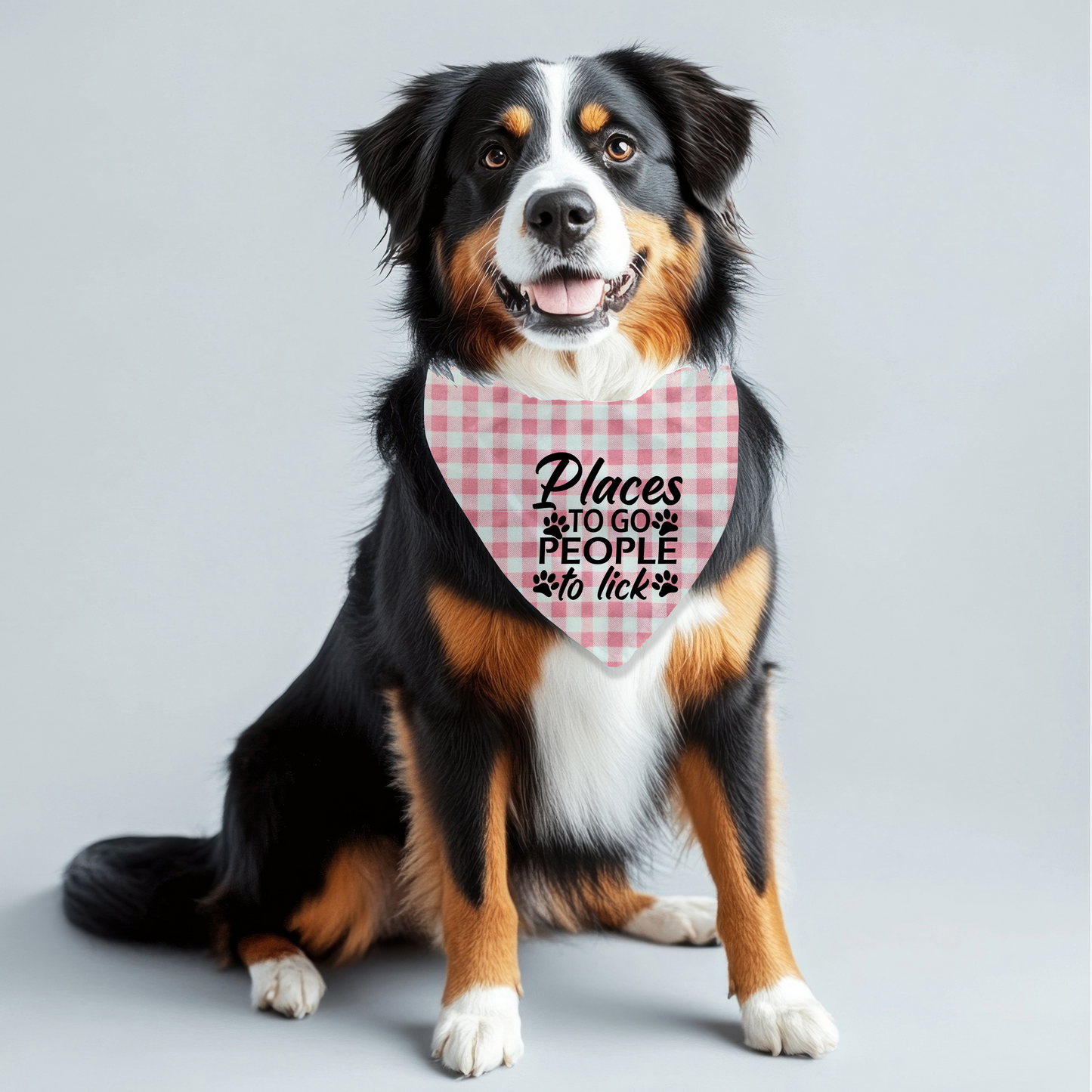 Places to Go Pet Bandana on Plaid