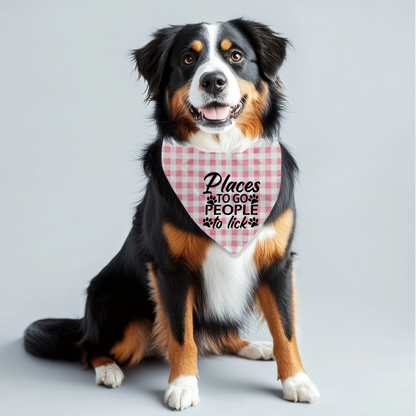 Places to Go Pet Bandana on Plaid