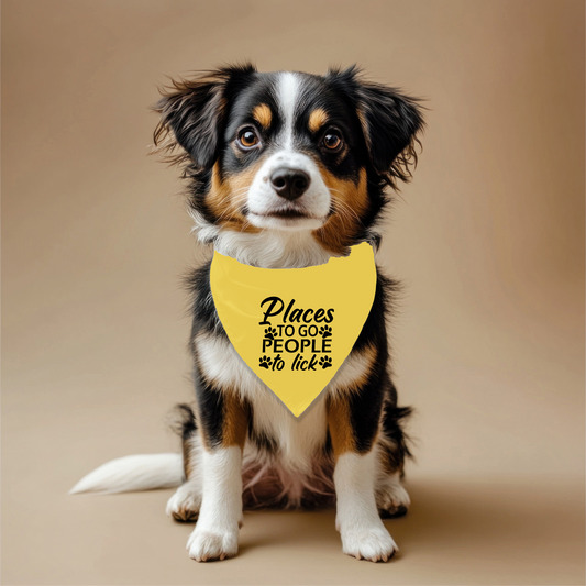 Places to go Pet Bandana