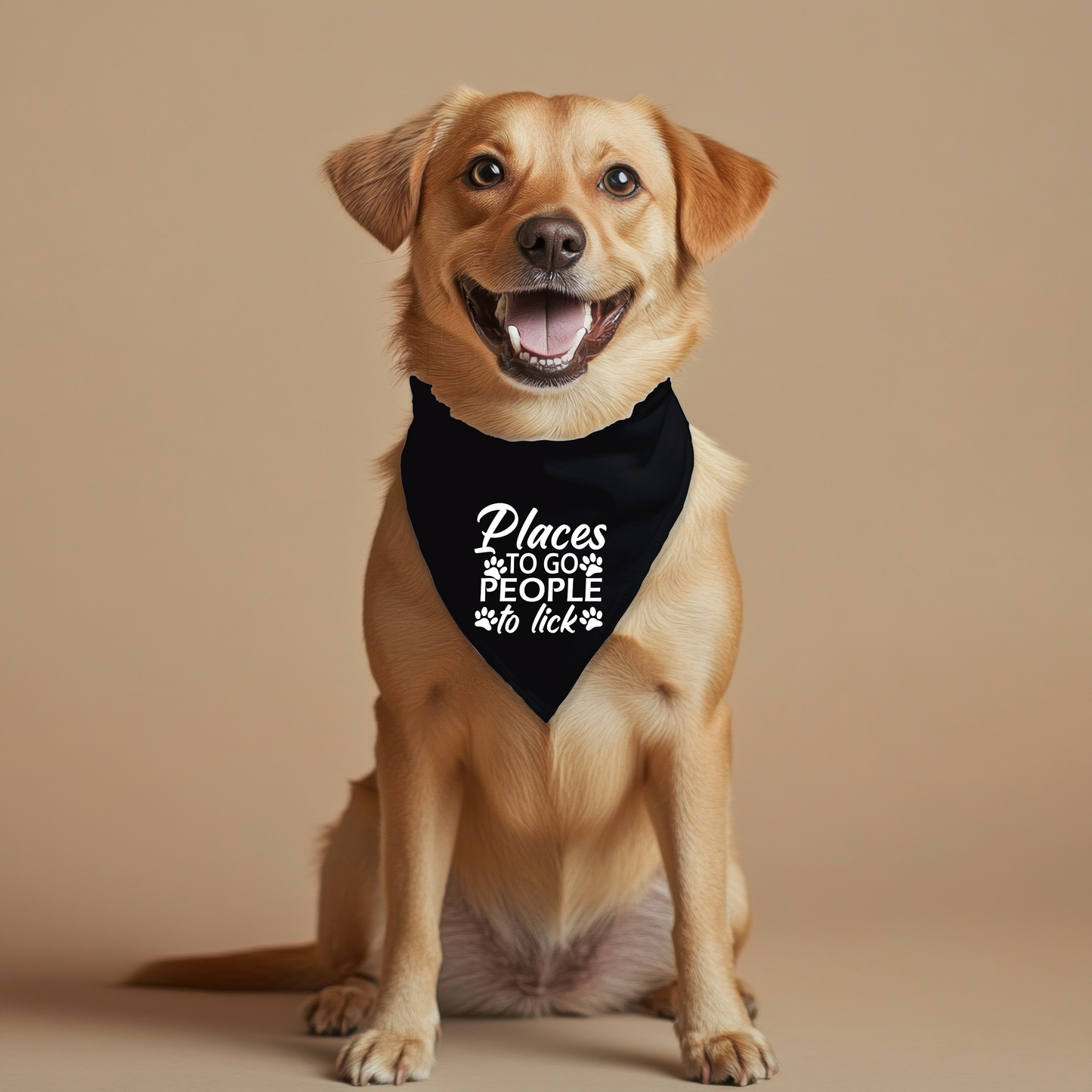 Places to go Pet Bandana