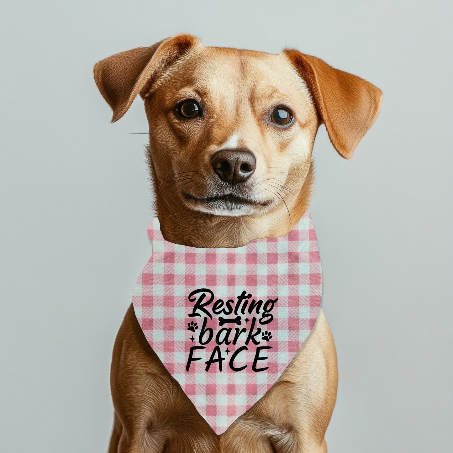 Resting Bark Face Dog Bandana on Plaid
