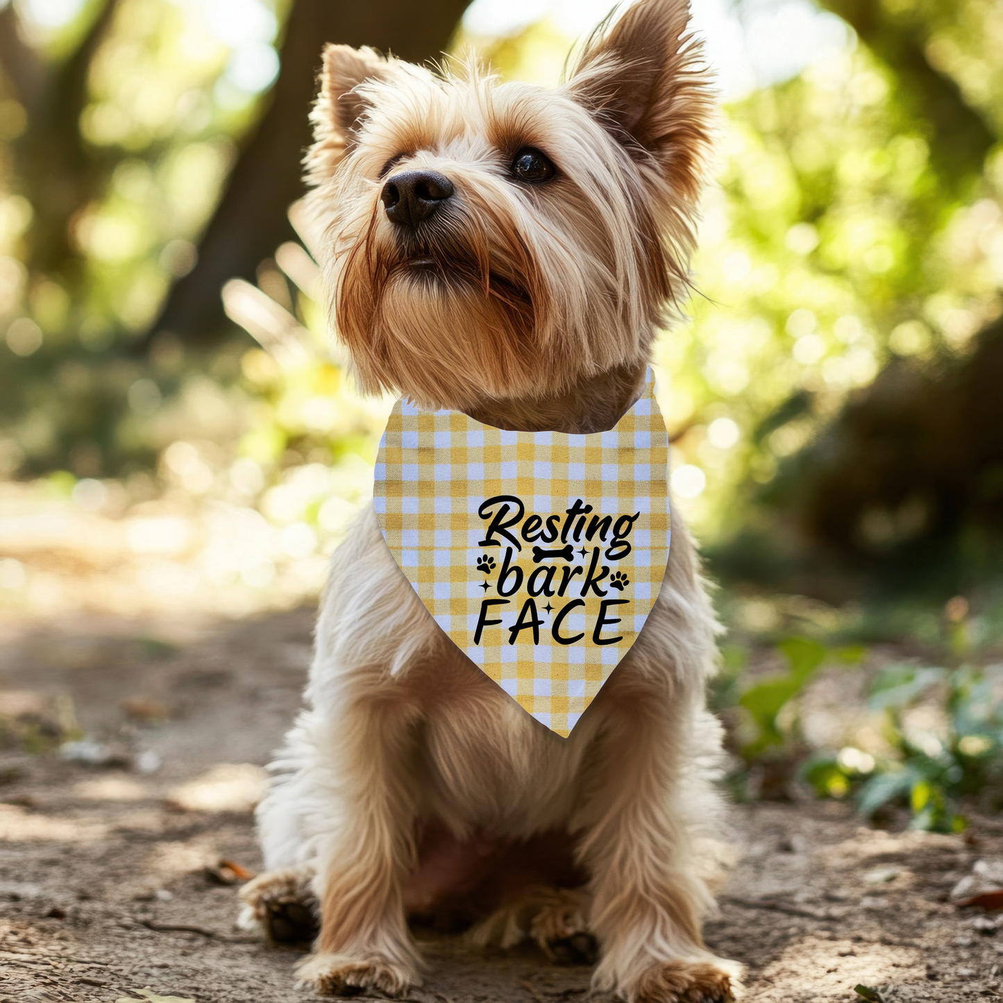Resting Bark Face Dog Bandana on Plaid