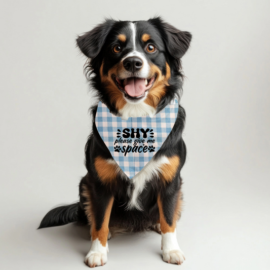 Shy Pet Bandana on Plaid
