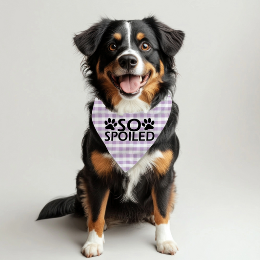So Spoiled Pet Bandana on Plaid