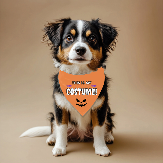 This is my costume Pet Bandana